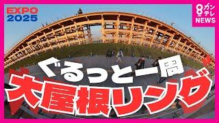 【大屋根リング一周】360° / VRカメラで撮影しました。大阪・関西万博　画面を動かしてご覧ください。（４Ｋ撮影）　EXPO2025 OSAKA KANSAI JAPAN 〈カンテレNEWS〉