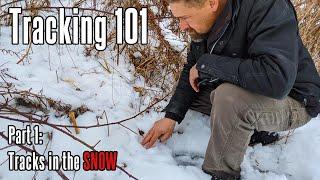 Tracking 101: Tracks in the Snow | How to evaluate footprints