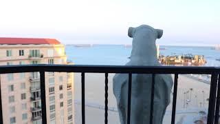 Long Beach Penthouse Villa Riveria Condo | Long Beach Realtor