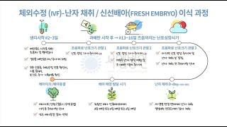 시엘병원 체외수정 신선배아이식과정 알아보기