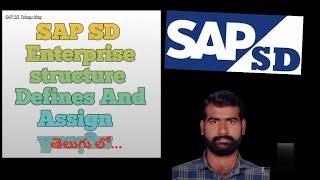 SAP SD Chapter 1 #Enterprise structure #Define And Assign # తెలుగు లో
