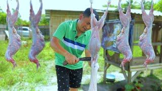 What Does Rabbit meat Taste Like! Modern method in raising rabbits ( Cooking rabbit meat )