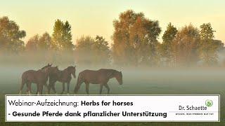 Webinar-Aufzeichnung: Herbs for horses - Gesunde Pferde dank pflanzlicher Unterstützung