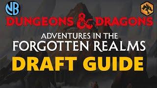 ADVENTURES IN THE FORGOTTEN REALMS DRAFT GUIDE!!! Top Commons, Archetype Overviews, and MORE!!!