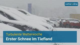 Erster Wintergruß im Tiefland