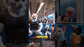 funniest animals , funniest cats , cat video , try not to laugh , stand up comedy ,