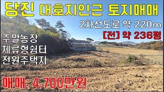 [급매]당진토지매매[ 4,700만원] -전 236평 - 낮은 산자락아래 주말농장, 체루형쉼터, 전원주택, 농가주택, 시골주택, 주말주택, 세컨하우스 등...