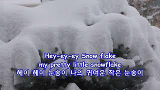 Snowflake - Jim Reeves: with Lyrics(가사번역) ||  Centennial, Colorado on Nov. 9, 2024