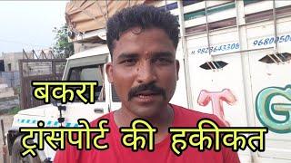 बकरा ट्रांसपोर्ट की पूरी सच्चाई बता दी | truth of goat transport | Toshik goat farm Ajmer