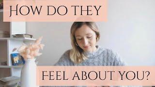 How Do They Feel About You?*Pick a card* Timeless Tarot Reading