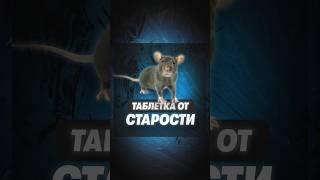 Таблетка от старости! Учёные побороли возраст  #технологии #ученые