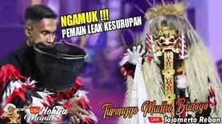 LEAK KESURUPAN ‼️ 4 LEAK GANAS TURONGGO MUDHO BUDOYO NDADI MASAL | Live Sojomerto - Reban