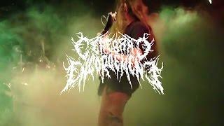 CEREBRAL ENGORGEMENT - Breeding In The Bowels (Live @ Red House, Walnut Creek)