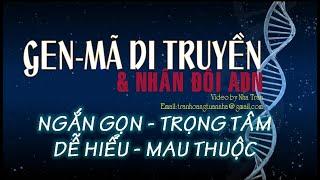 GEN-MÃ DI TRUYỀN-NHÂN ĐÔI ADN | SINH HỌC 12