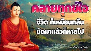 ธรรมะก่อนนอน ฟังแล้วมีสติ คิดบวก ปล่อยวาง อย่าท้อแท้ใจ อย่าดูถูกตัวเอง  Thai Dhamma Radio