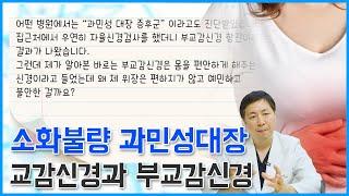 기능성위장장애, 소화불량, 과민성대장은 교감신경의 문제인가요 부교감신경의 문제인가요?