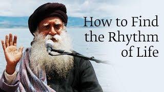 How to Find the Rhythm of Life | Sadhguru in Manasarovar