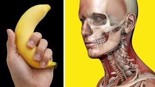 What Will Happen If You Eat 1 Banana Every Day