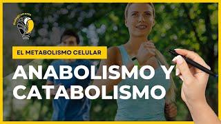 METABOLISMO CELULAR:  Anabolismo y Catabolismo