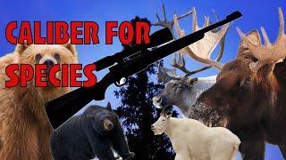 Top Rifle Calibers for Game in Alaska: By Animal Class