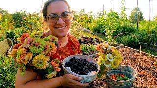 Quiet Garden Morning (Before a Heat Wave) | Farm Life VLOG