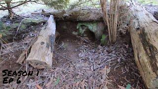 Mine shaft or Wombat hole?