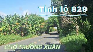 Khám Phá TL 829 Từ TT Tân Thạnh Đến Chợ Trường Xuân Đồng Tháp