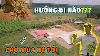 Quanglinhvlogs || Hướng Đi Nào Phù Hợp Cho Mùa Hè Tới Tại Quang Linh Farm.