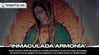 Inmaculada Armonía | Our Lady of Guadalupe | Sacred Music for Praying, Sleeping, Relaxing, Studying