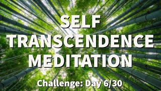 Meditation for TRANSCENDENCE - Transcendental Experience | 2022 Challenge - Day 6  | Raphael Reiter