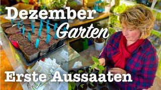 Der Garten im Dezember  Das Neue Gartenjahr beginnt 🪴 Einlagern, Stecklinge, Aussaaten 