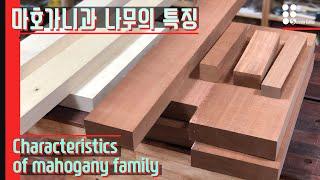 마호가니의 특징 I Characteristics of mahogany