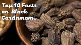 Top 10 Facts of Black Cardamom  Learning on Black Cardamom | Black Cardamom Benefits | Spice