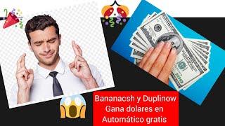 Gana dolares en automático gratis con Duplinow y bananacsh 