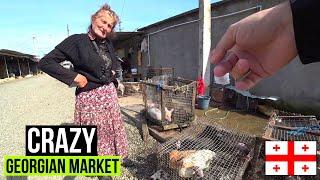 I Nearly Bought A Piglet In Georgia's Friendliest Market | Zugdidi 