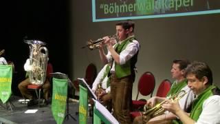 Böhmerwaldkapel - In de Griam Polka