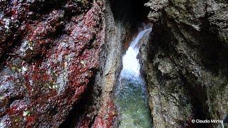 CANYON RIO SASS -  Spettacolo Naturale - Trentino - HD