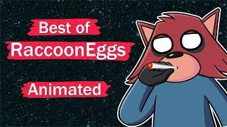 BEST RACCOONEGGS MOMENTS - (ANIMATED)