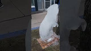 Ice sculpture Nova Scotia Dartmouth