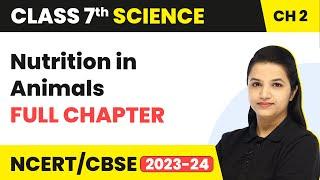 Class 7 Science Chapter 2 | Nutrition in Animals Full Chapter Explanation & NCERT Solutions