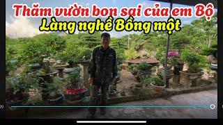 Thăm vườn bon sai của em Bộ Làng nghề Bồng một Lục ngạn Bắc Giang Sđt.0362141398 chủ vườn