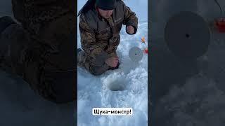 Уже на канале. Щука-монстр. Трофейная рыбалка. #рыбалканаямале #рыбалка2023