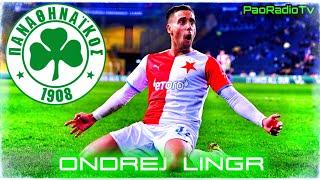 Ondrej Lingr (Best Moments) Feyenord Transfer Target