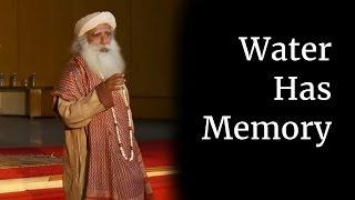 Water Has Memory - Sadhguru at IIT Madras (Part V)