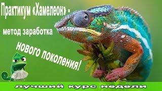 Практикум «Хамелеон» — метод заработка нового поколения