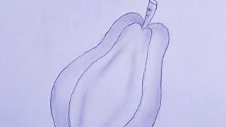 how to draw papaya sketch papaya draw papita #drawing #sketch #pencil #sketching