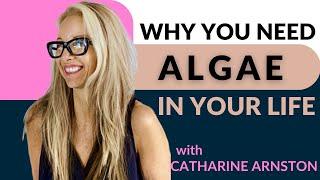 Algae for Energy, Recovery, and Great Skin with Catharine Arnston