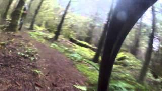 Stella Ridge Trail System // MTB // WA