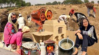 Traditional Food Cooking For Wheat Harvester laborers | Village Life Pakistan || Rural life