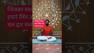 कुण्डलिनी शक्ति #yoga #yogapractice #yogateacher #yogalife #kundlini #hathyog